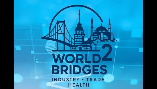 Uluslararası Bilimsel Panel ve Diplomasi Zirvesi İstanbul'da düzenlenecek