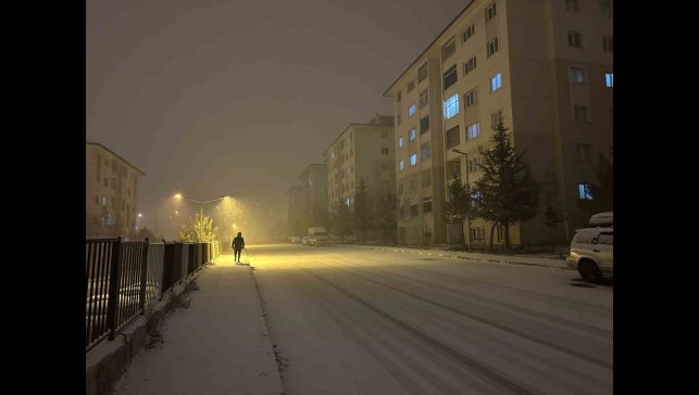 Van'da yoğun kar yağışı
