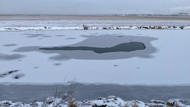 Ardahan merkezinde kar yağışı etkili oldu