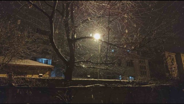 Erciş'te kar yağışı