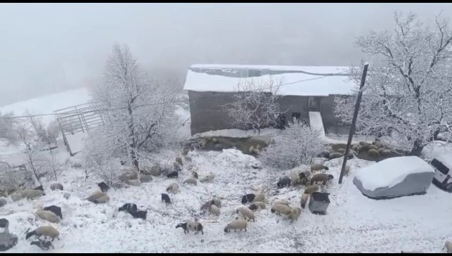 Bahçesaray'da kar yağışı
