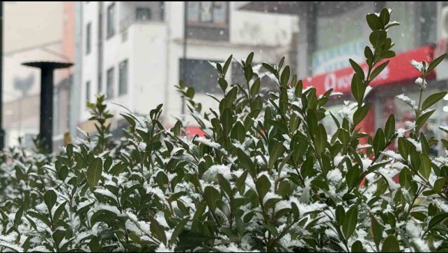 Tatvan'da kar yağışı