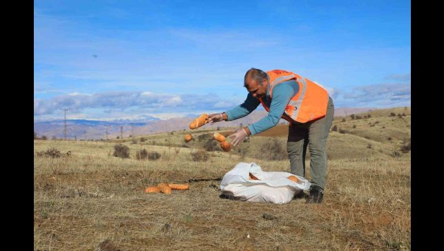 Elaızığ'da doğaya yem bırakıldı