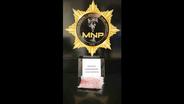 Uygulama noktasında uyuşturucu darbesi: 30 milyon TL'lik uyuşturucuyla yakalandı