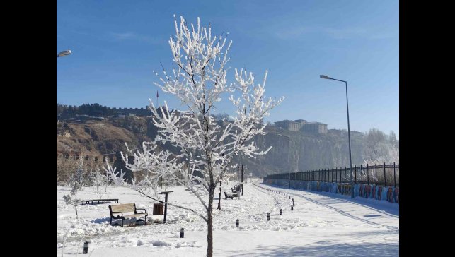 Göle eksi 16 dereceyi gördü, ağaçlar kırağı tuttu