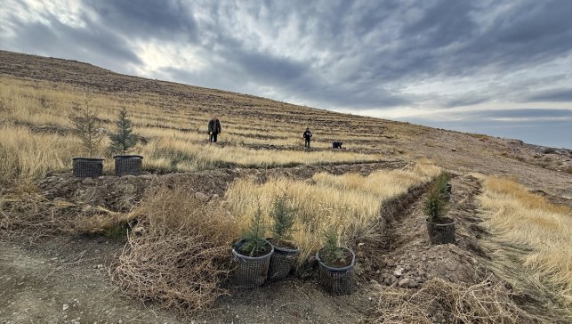 Türkiye'nin en kirli havasına sahip Iğdır'da bol oksijen için ağaçlandırma hamlesi