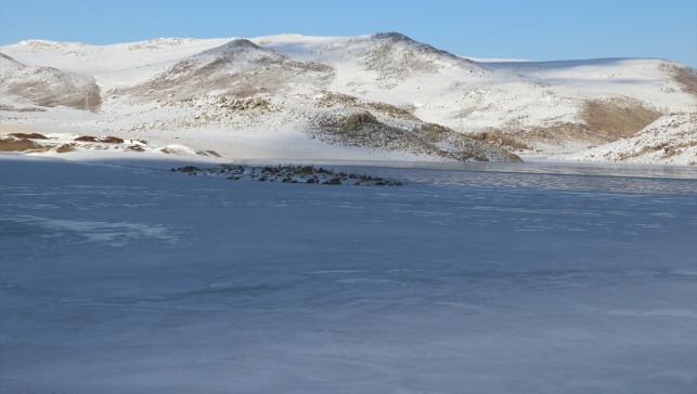 Ağrı'daki Derecek Barajı buzla kaplandı