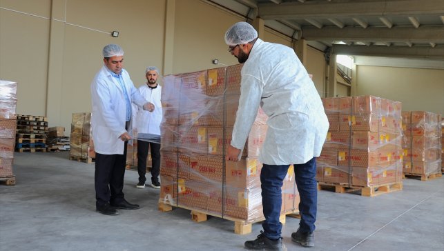 Vanlı arıcı Dubai'ye 16,5 ton petek bal gönderdi