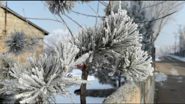 Araçlarını soğuktan korumak için battaniyelerle örtüyorlar