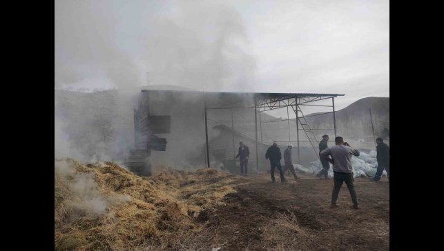 Malatya'da besi çiftliğinde yangın