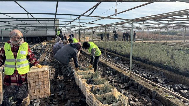 Malatya'dan Türkmenistan'a 50 bin fidan desteği