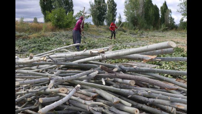 Kömür pahalı, odun umut: Erzincan kırsalında kış mesaisi