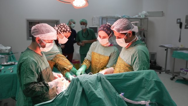 Malatya'da bir hastanın böbreğinden 2 kilo 200 gram tümör çıkarıldı