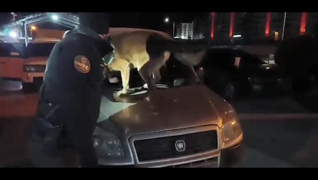 Bitlis'te 6 kilo 100 gram skunk maddesi ele geçirildi