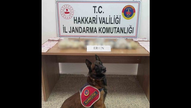Hakkari'de 5 kilo 815 gram eroin ele geçirildi
