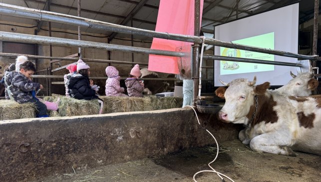 Ardahan'da anaokulu öğrencilerine hayvancılık ve tarım sahada öğretiliyor