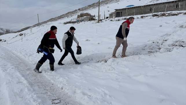 Hakkari'de veteriner hekimler hayvanların sağlığı için karlı yolları aşıyor