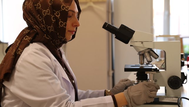 Organik içerikli solüsyon, tarımsal ürünlerin kalitesini artırıp raf ömrünü uzatıyor