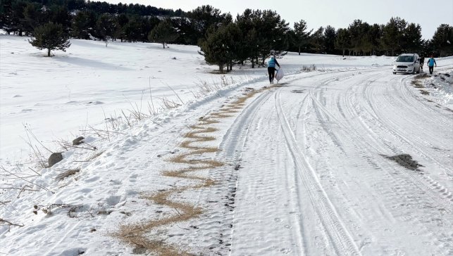 Kars'ta yaban hayvanları için karla kaplı doğaya yiyecek bırakıldı