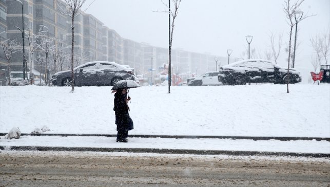 Muş'ta kar ulaşımı aksattı