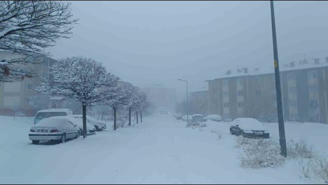 Van kar yağışı: 569 yol kapandı, uçak seferleri iptal edildi
