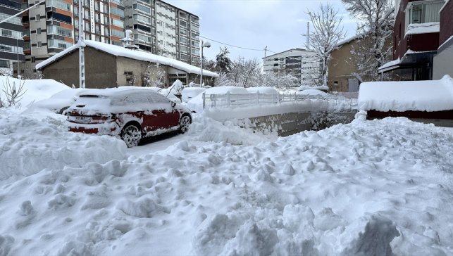 Van, Hakkari, Bitlis ve Muş'ta kar nedeniyle 1493 yerleşim yerinin yolu kapandı