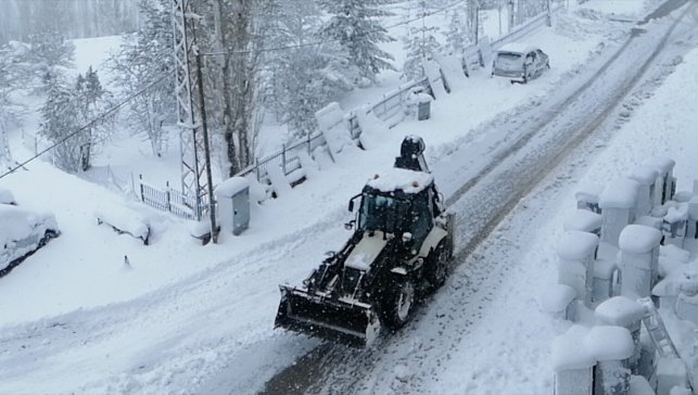 Bahçesaray'da etkili olan kar yaşamı olumsuz etkiledi