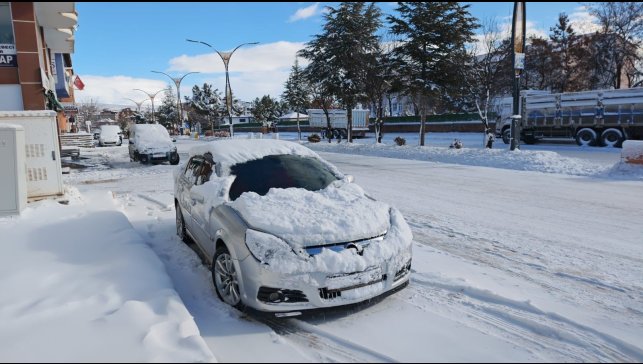 Ahlat'ta kar yağışı: 20 köy yolu ulaşıma kapandı