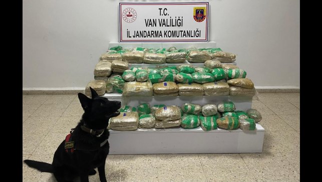 Van'da 51 kilo skunk ele geçirildi