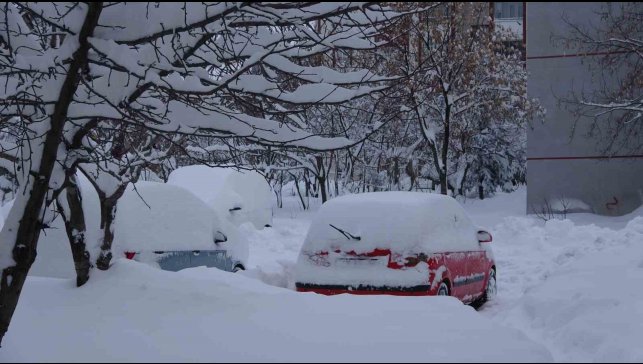 Bitlis'te kar yağışı nedeniyle 87 köy yolu ulaşıma kapandı