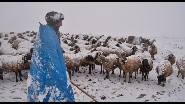 Erzincan yaylalarından köylere uzanan zorlu kış mesaisi