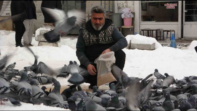 Van'da kar sonrası güvercinlerden görsel şölen
