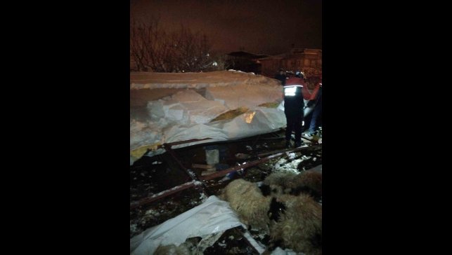 Van'da ahır çöktü, 5 küçükbaş hayvan telef oldu