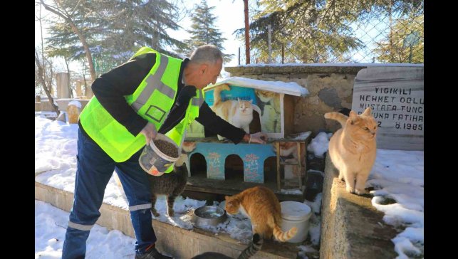 Elazığ'da doğaya yem bırakıldı