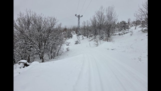 Elazığ'da kar başladı, 311 köy yolu ulaşıma kapandı