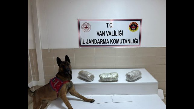 Gevaş'ta 3 kilo esrar ele geçirildi