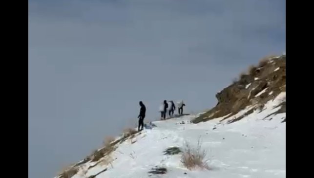 Zirveye şefkat tırmanışı: Yüksekova'da dağ keçileri için metrelerce karı aştılar