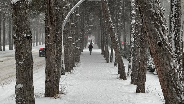 Elazığ'da yoğun kar etkili oluyor