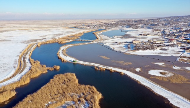 Ağrı Dağı'nın eteklerinde dondurucu soğuklara rağmen 35 kuş türü yaşıyor