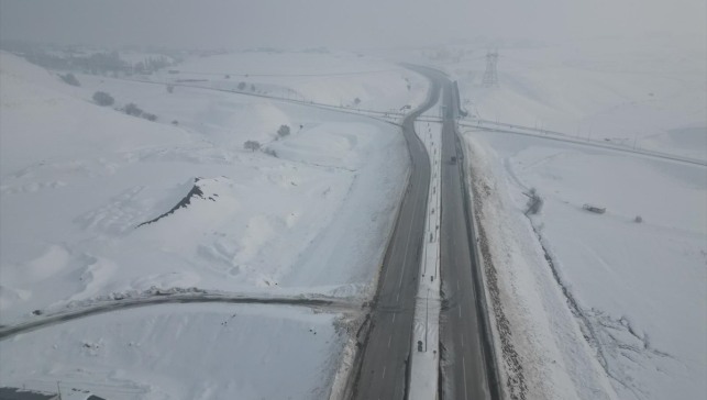 Doğu Anadolu'da sulak alanlar dondu, bitki ve ağaçları kırağı kapladı