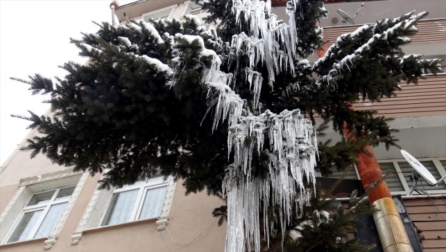 Erzurum, Ağrı, Tunceli, Ardahan ve Kars'ta soğuk hava etkisini sürdürüyor