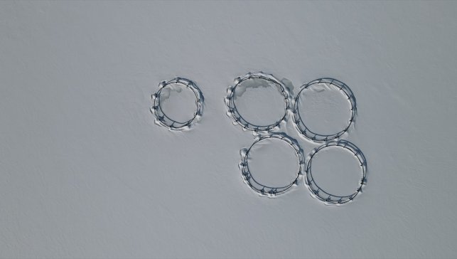 Erzincan'daki Göyne Barajı soğuk havanın etkisiyle dondu