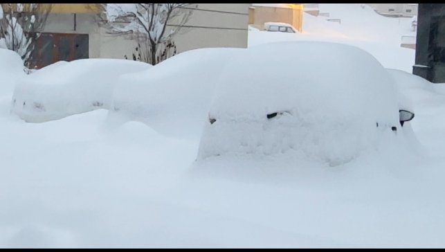Yüksekova kara gömüldü: Kar kalınlığı yarım metreyi geçti