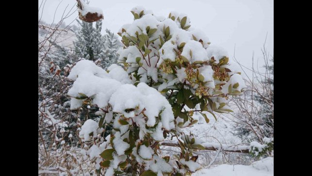Pütürge'de kartpostallık görüntüler