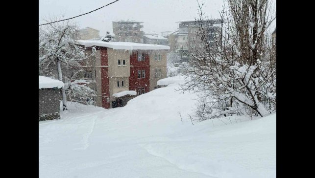 Hakkari'de okullar tatil edildi