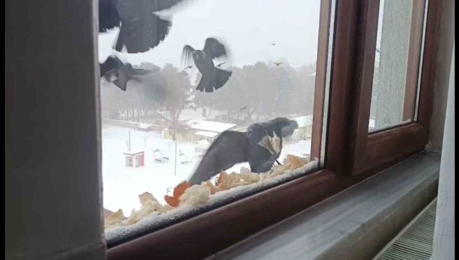 Tatvan'da yürekleri ısıtan davranış