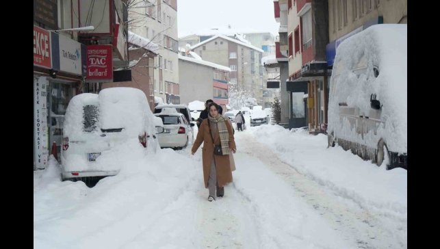 Muş'ta yoğun kar yağışı hayatı olumsuz etkiledi