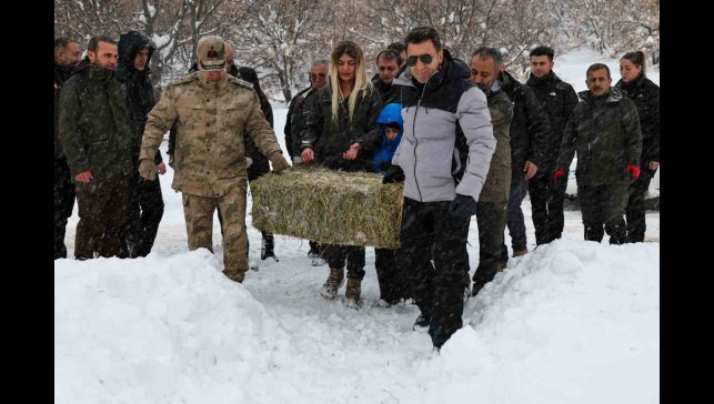 Vali Aygöl, yaban hayvanları için kolları sıvadı