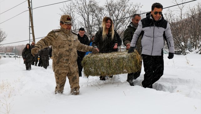 Tunceli'de yaban keçileri için doğaya yem bırakıldı