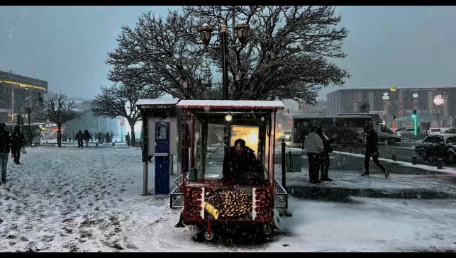Erzincan'da lapa lapa kar yağışı